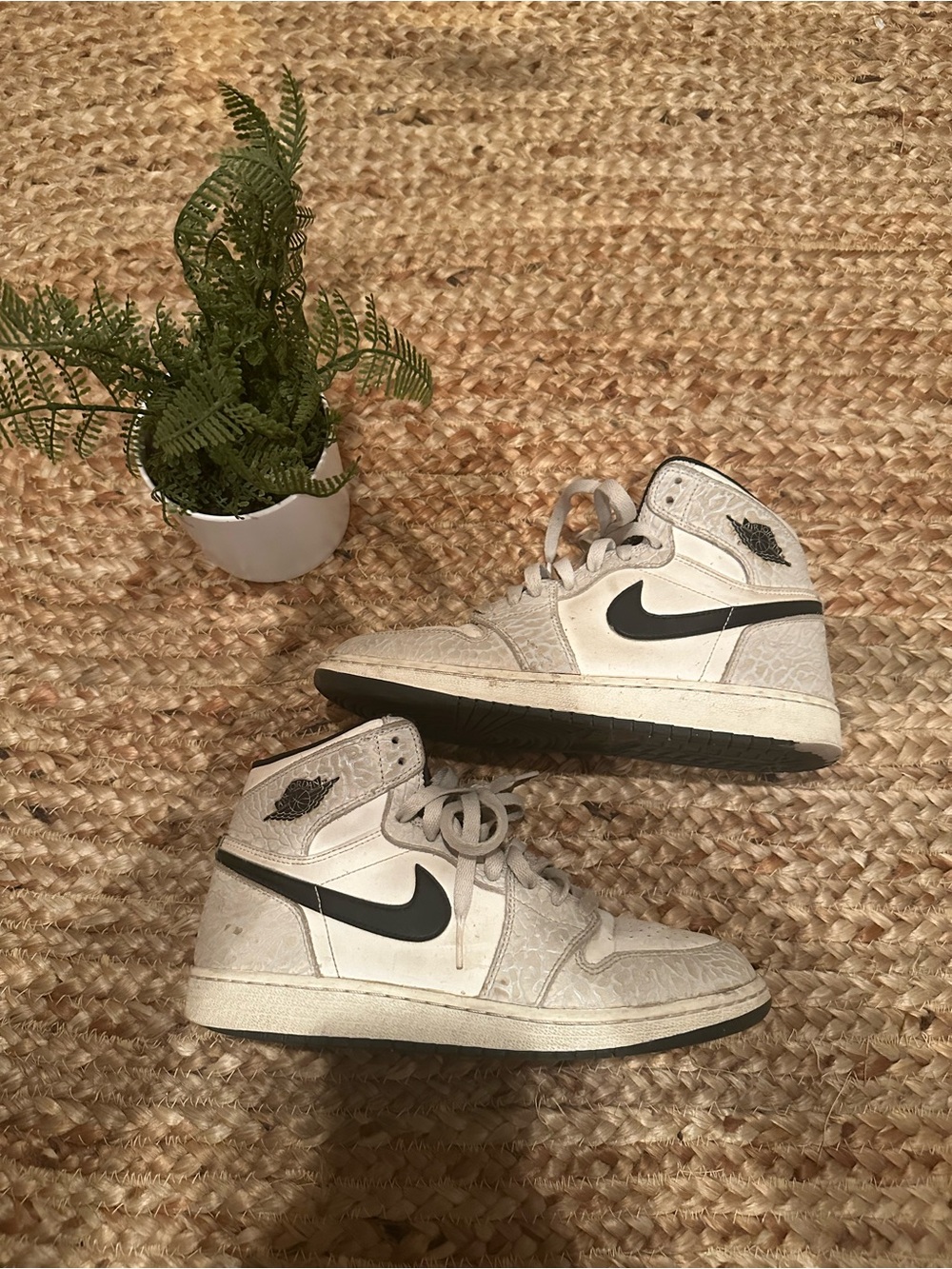JORDAN 1 RETRO ELEPHANT